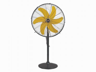 Pedestal Fan Fancy